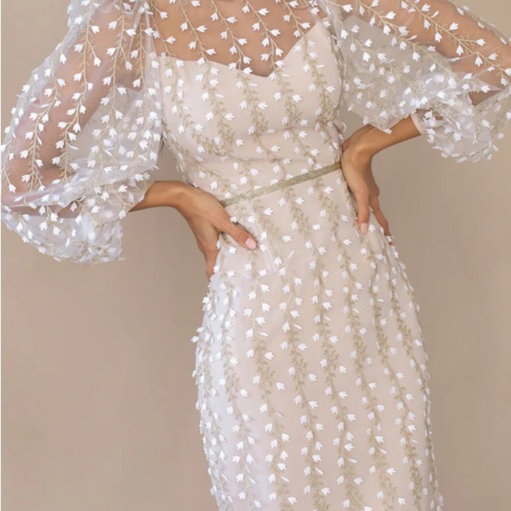 Elegant White Embroidered Sheer Fitted Floral  Dress